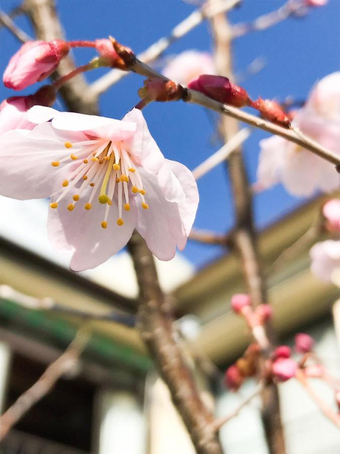 Guesthouse Nishihara Atami  Exterior photo